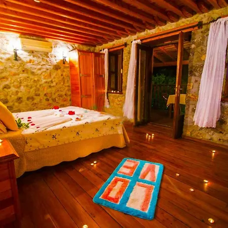 Wine Villa *