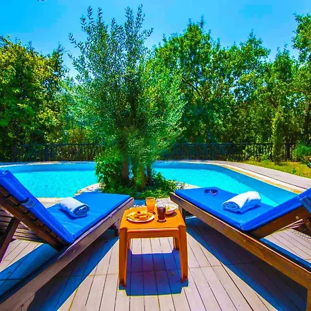 Villa Wine