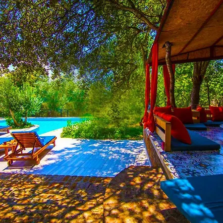 Wine Villa